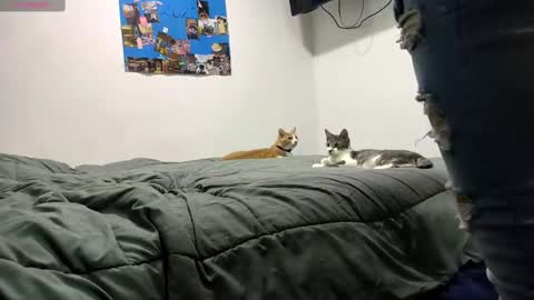 spartan_knight16 online show from September 2025 09:47:02 PM