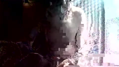 specialdic12 online show from May 2026 09:13:02 AM