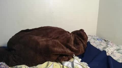 dela online show from February 2025 03:43:02 AM