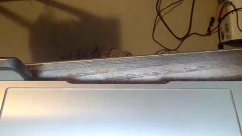 spirit__bear online show from November 2025 12:59:01 PM