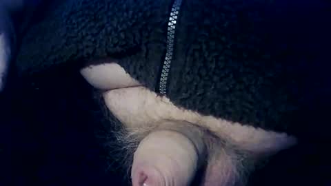 splitter60 online show from February 2026 03:15:02 PM