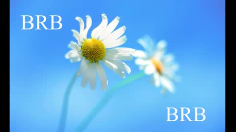 Snapshot of sport_tall_karina chatting on February 2025 08:31:02 AM Karina online show from February 2025 08:31:02 AM