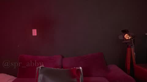 Snapshot of spr_abby chatting on December 2024 11:19:01 PM Abby online show from December 2024 11:19:01 PM