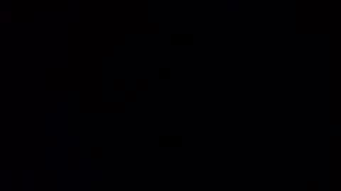 Squally Willy  MaryAnne online show from January 2025 02:47:02 PM