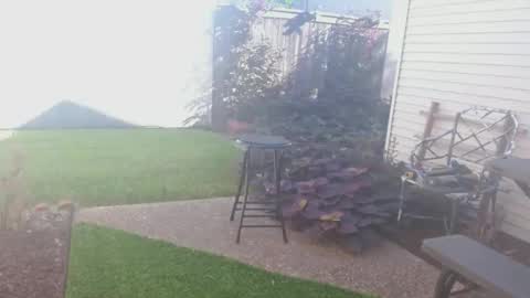 srtxshow online show from September 2025 02:43:02 PM