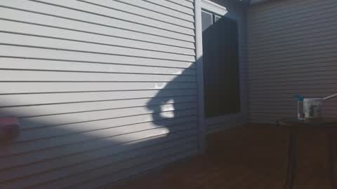 srtxshow online show from February 2026 03:16:02 PM