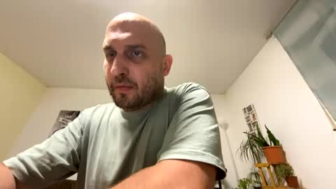 sta13 online show from July 2026 11:20:01 PM