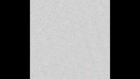 Stacy online show from January 2026 11:56:01 AM