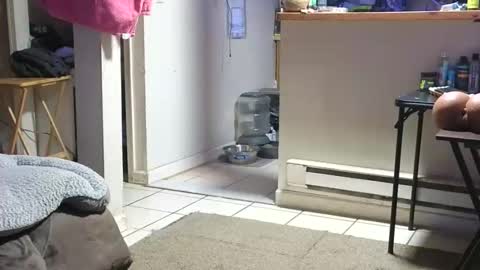 Submissive Slut LOVES adoration online show from October 2025 04:23:02 AM