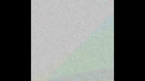 stagvixen_xo online show from December 2025 12:07:02 AM