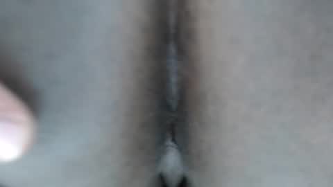 calvin online show from January 2026 11:56:01 AM