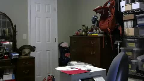 stasw20 online show from January 2025 03:09:01 AM