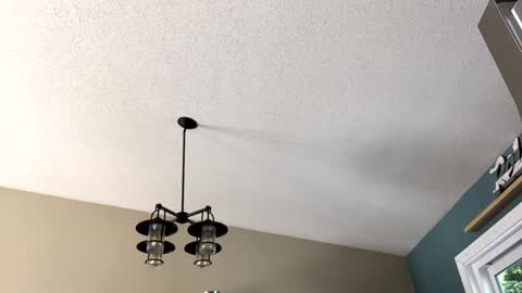 Snapshot of steakman007 chatting on February 2025 06:01:02 PM Steakman online show from February 2025 06:01:02 PM