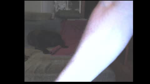 stefangeil123 online show from March 2026 12:59:02 AM