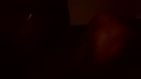 stefy1037 online show from June 2026 05:49:01 AM
