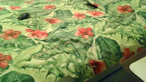 Rocco-load online show from December 2025 06:58:01 PM