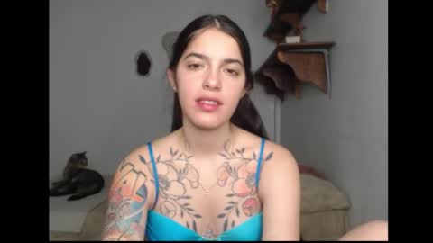 Stella online show from February 2026 02:40:01 AM