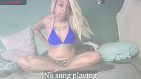 Stella Clitella online show from January 2026 10:53:02 AM