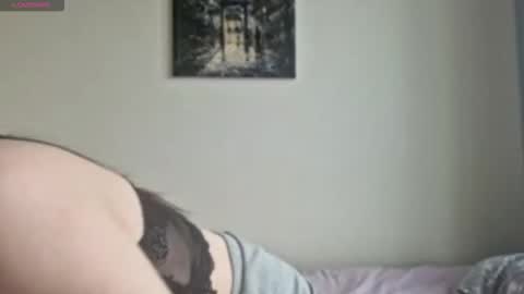 Stella online show from November 2025 09:32:02 AM