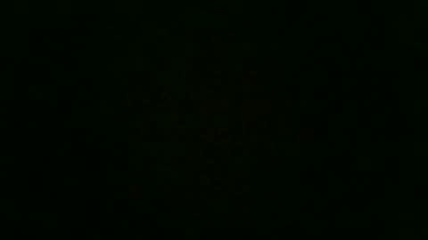 stensurfarn online show from December 2025 12:43:02 PM