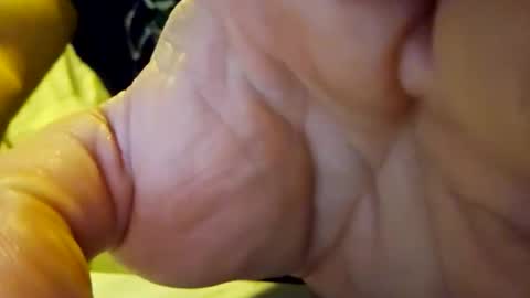 Snapshot of stereobox44 chatting on March 2026 06:08:02 AM stereobox44 online show from March 2026 06:08:02 AM