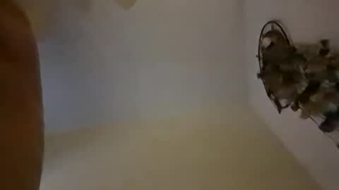 Snapshot of sterng123 chatting on December 2024 09:01:02 AM sterng123 online show from December 2024 09:01:02 AM