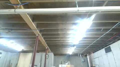 steved6001 online show from November 2025 05:47:02 PM