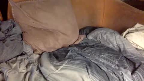 Snapshot of stevemason718 chatting on February 2025 04:14:02 PM STEVE CASHMASTER 1comedia online show from February 2025 04:14:02 PM