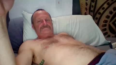 steviehard7 online show from November 2025 06:41:02 AM