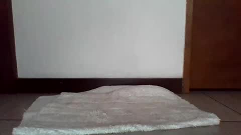 stgo2000caliente online show from February 2025 03:54:02 PM