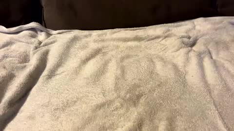 stiffrick682 online show from January 2025 12:03:01 AM