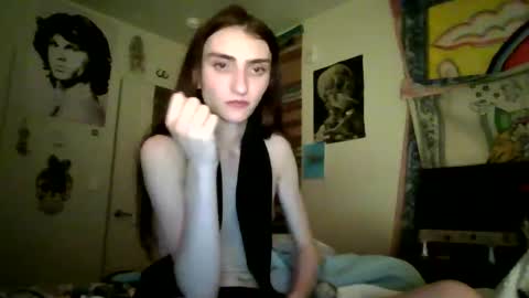 stonedtranny69 online show from February 2025 02:17:01 AM