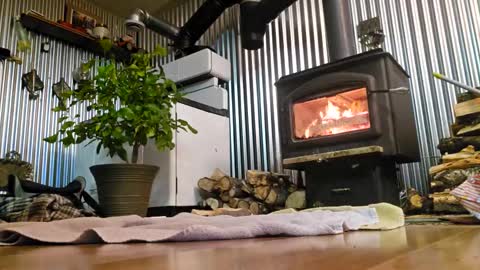 stricktlypleasure online show from January 2025 07:55:02 AM