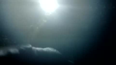 Bigdickdugan online show from January 2025 01:36:02 PM