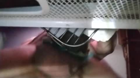 stuffamuffagus69 online show from November 2025 01:11:01 AM