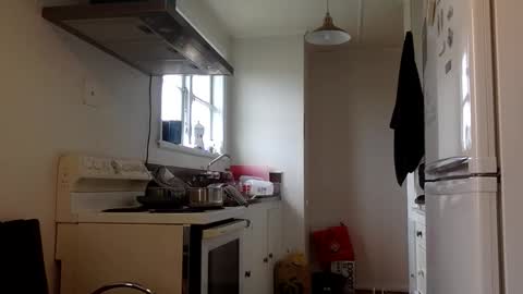 stugo1964 online show from September 2025 03:43:01 AM