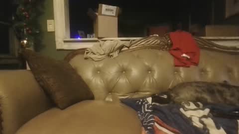 sub_michael41 online show from December 2024 06:52:02 AM