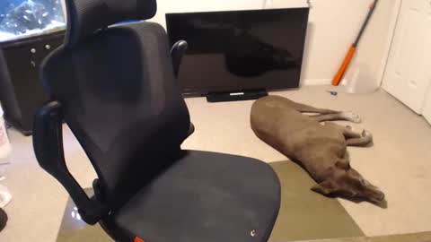 Snapshot of subryan03 chatting on October 2025 02:06:02 PM do i have lil tits or pecs online show from October 2025 02:06:02 PM