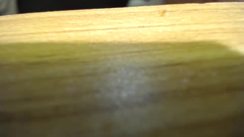 subswitchuser online show from January 2025 06:08:02 PM