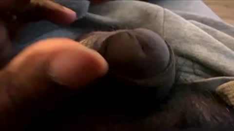 Let me be your knight that saves you online show from January 2026 08:55:01 PM