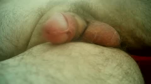 Samenspender online show from April 2026 04:06:02 PM