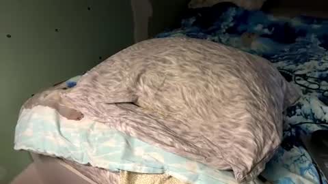 Sexy Nurse Girl online show from June 2026 06:10:01 PM