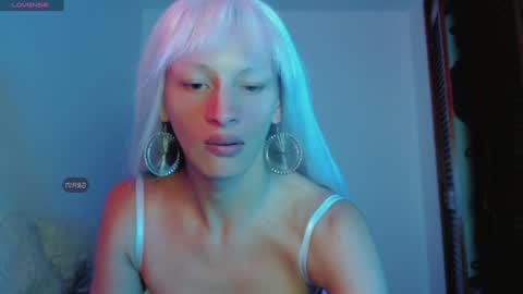 Summer online show from January 2025 12:11:01 AM