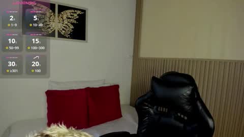 Summer online show from March 2026 11:36:01 AM