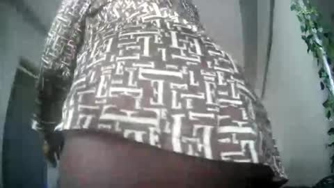 summerbuddy online show from November 2025 01:44:02 PM