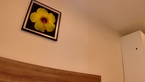 luna online show from March 2025 02:48:01 AM