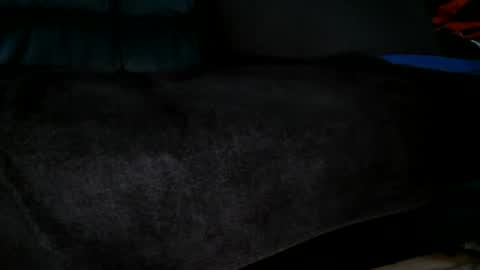 Snapshot of sundicksun chatting on June 2026 02:29:01 PM s online show from June 2026 02:29:01 PM