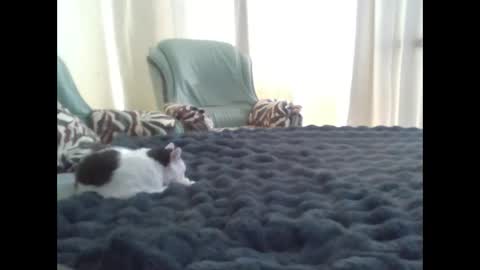 Snapshot of suni_bitch chatting on March 2025 11:42:02 AM suni online show from March 2025 11:42:02 AM