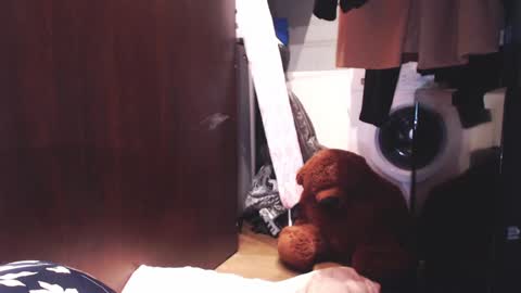 Snapshot of sunshinehella chatting on December 2024 07:10:01 AM Hella online show from December 2024 07:10:01 AM