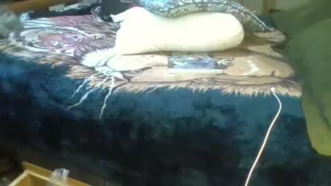 Suntroll online show from March 2026 06:55:02 PM